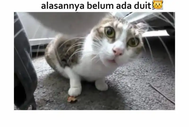 The Heavenly Path Is Not Stupid Chapter 132 Gambar 55