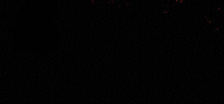 The Legend of Black Fox Master of Mount Kunlun’s Sword Chapter 43 Gambar 118