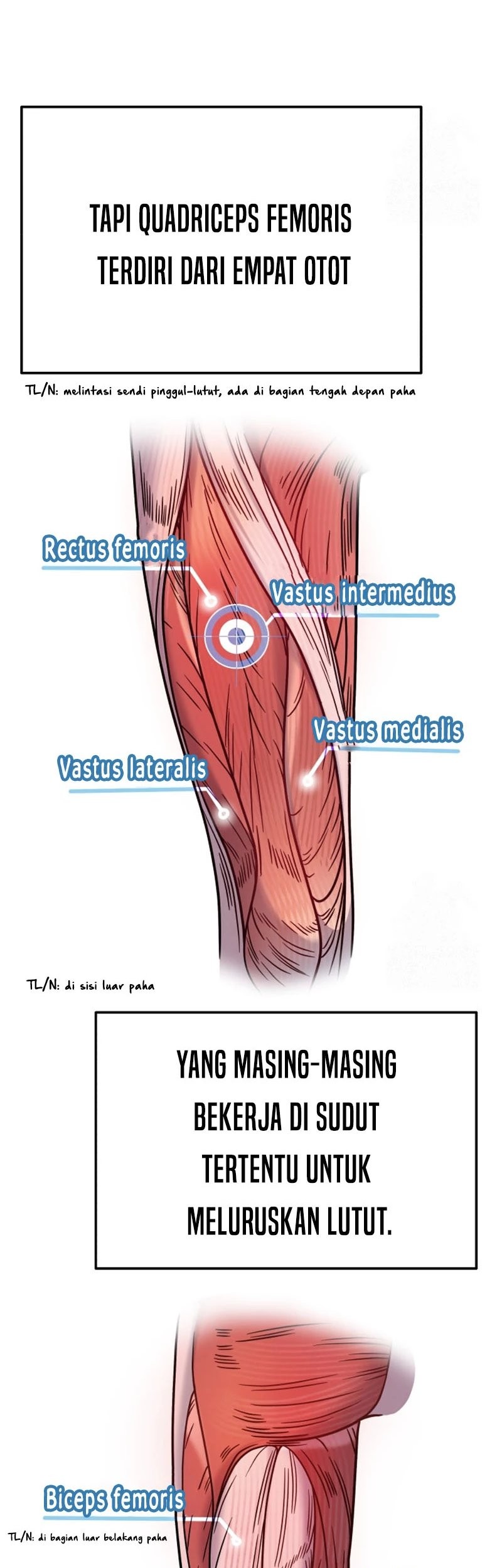 The Miraculous Physical Therapist Chapter 72 Gambar 22
