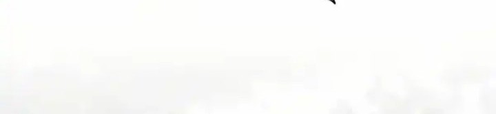 The Top Ranker’s Aspiring Writer Life Manual Chapter 38 Gambar 67