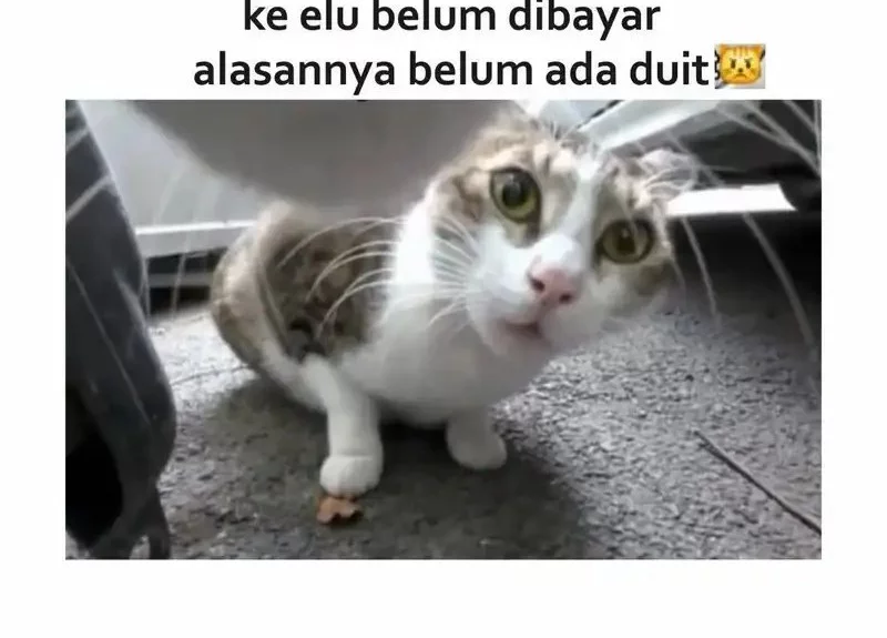 The Ultimate Wantless Godly Rich System Chapter 62 Gambar 35