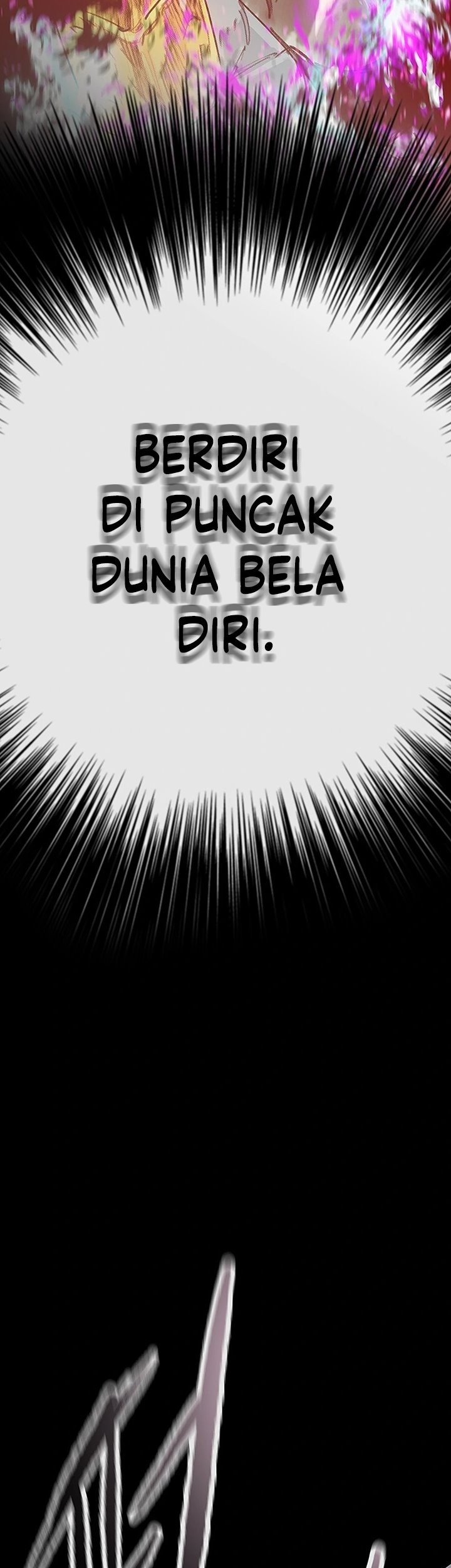 The Undefeatable Swordsman Chapter 250 Gambar 79