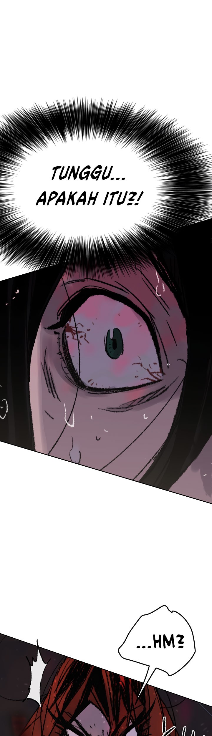 The Undefeatable Swordsman Chapter 52 Gambar 6