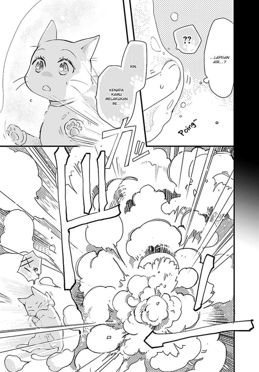 The Vengeful White Cat Lounging on the Dragon King’s Lap Chapter 18.4 Gambar 8