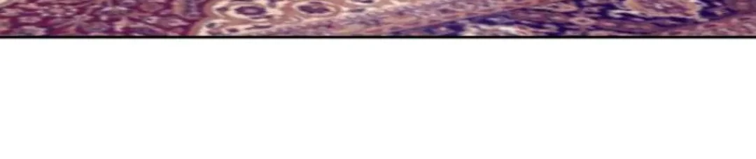 The Villainous Family is Against Independence Chapter 9 Gambar 69