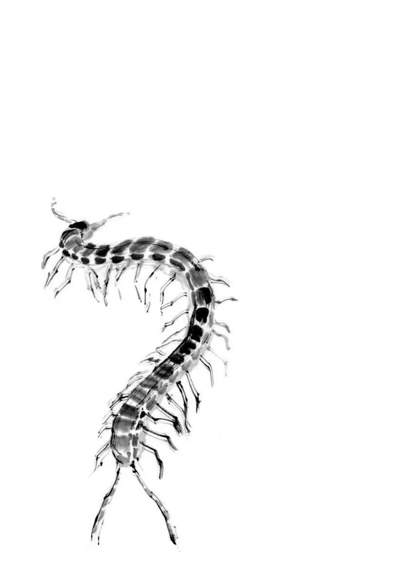 Baca  Tora wa Ryuu wo Mada Tabenai Chapter 22 Gambar 2