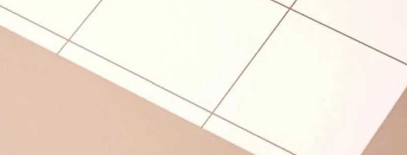 Traveling through time and space to become an unlucky NPC: I have a wife to protect me Chapter 106 Gambar 6