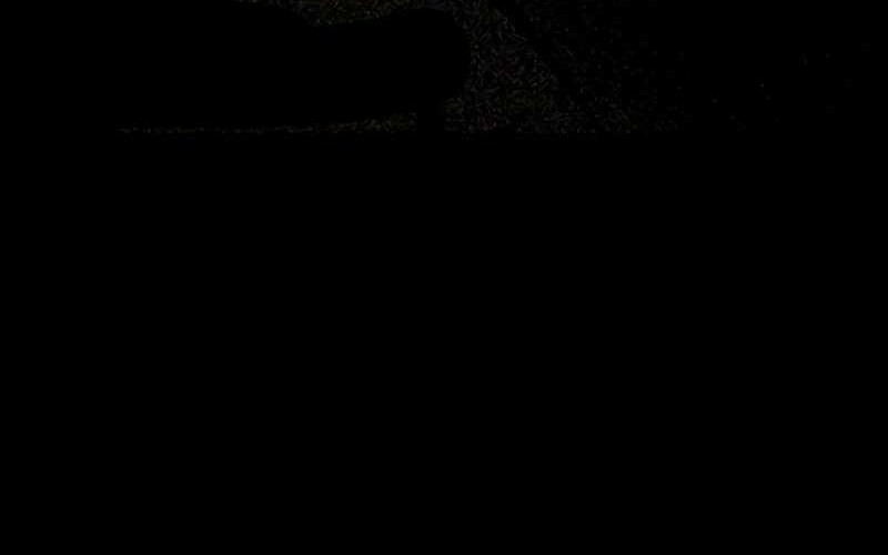 Vanta Black Chapter 10 Gambar 35