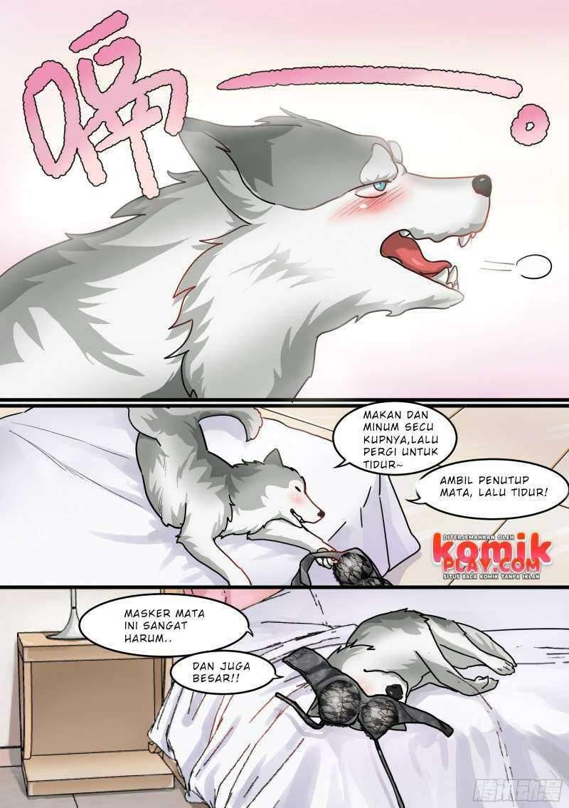 live stream: The Husky of the Goddess Chapter 01 Gambar 11