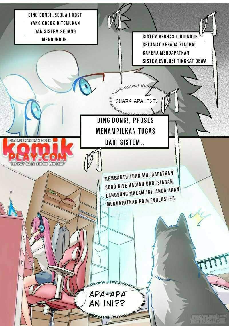 live stream: The Husky of the Goddess Chapter 01 Gambar 19