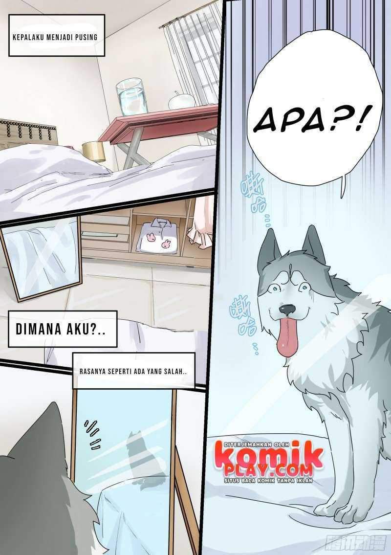 live stream: The Husky of the Goddess Chapter 01 Gambar 4