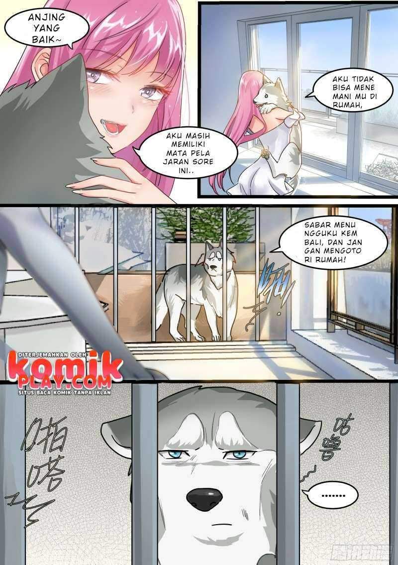 live stream: The Husky of the Goddess Chapter 01 Gambar 8