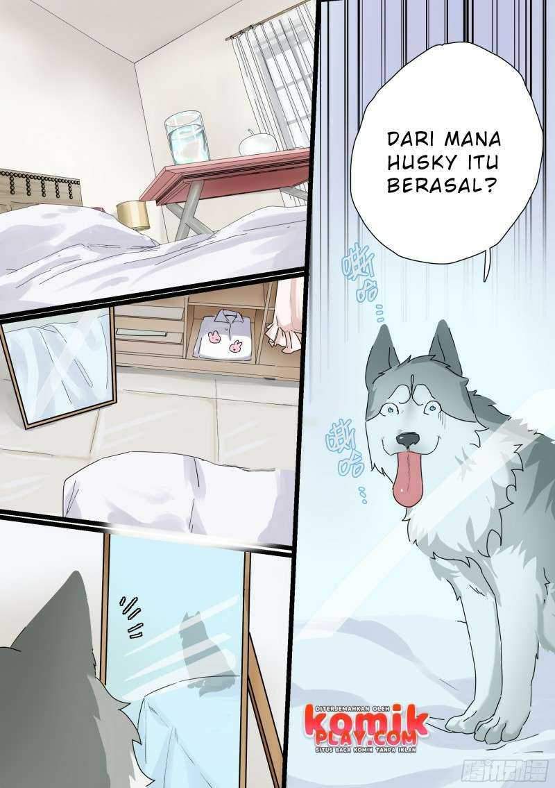 live stream: The Husky of the Goddess Chapter 00 Gambar 3