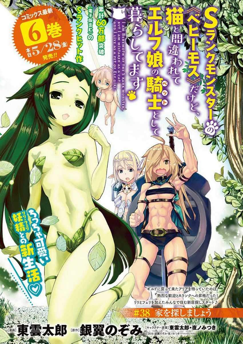Baca S-Rank Monster no Behemoth Dakedo, Neko to Machigawarete Erufu Musume no Kishi (Pet) Toshite Kurashitemasu Chapter 38 Gambar 2