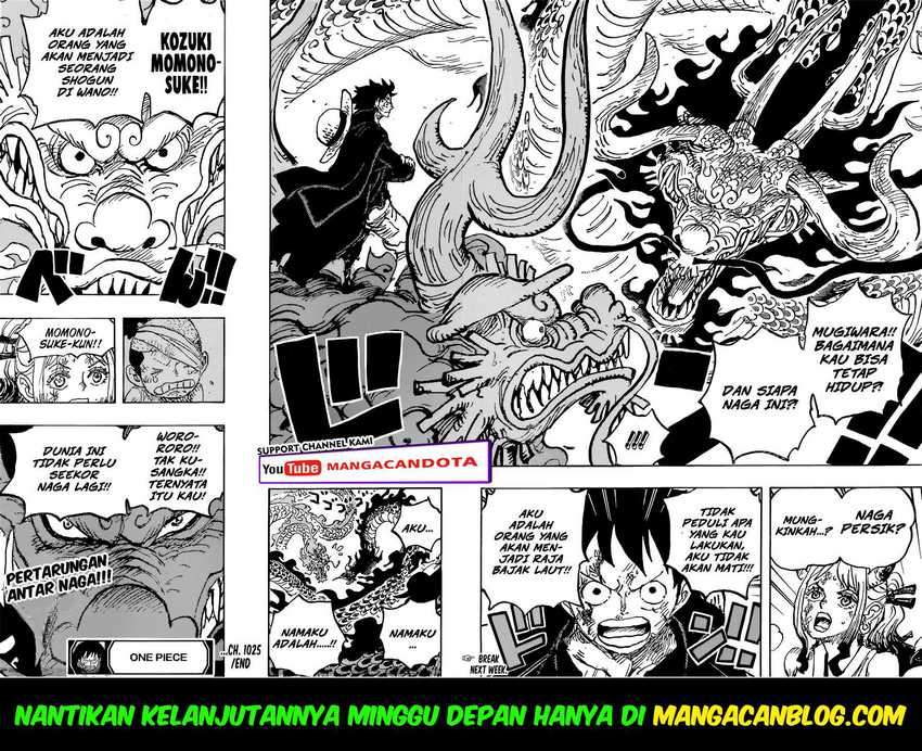 One Piece Chapter 1025 HD Gambar 15