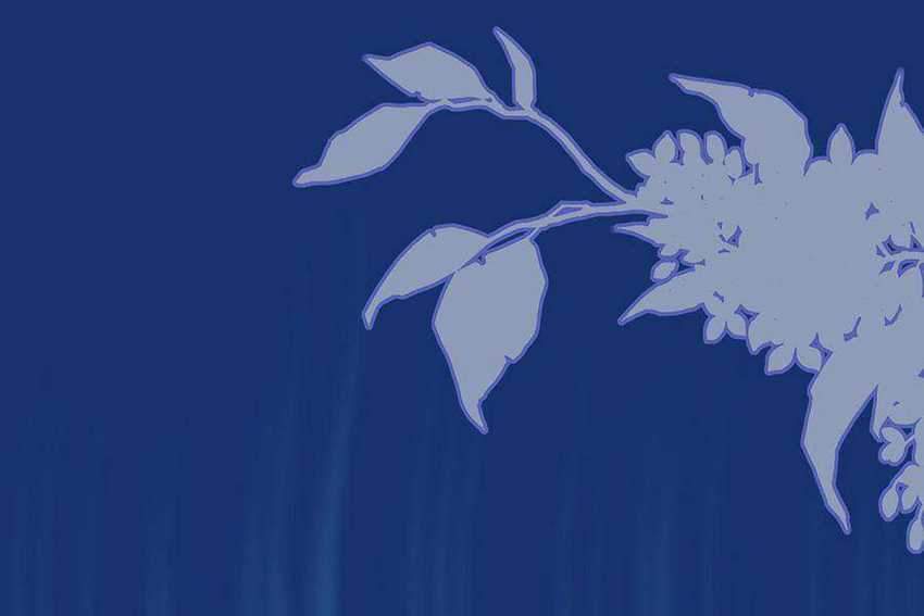 Me! Super rich! Chapter 66 Gambar 34