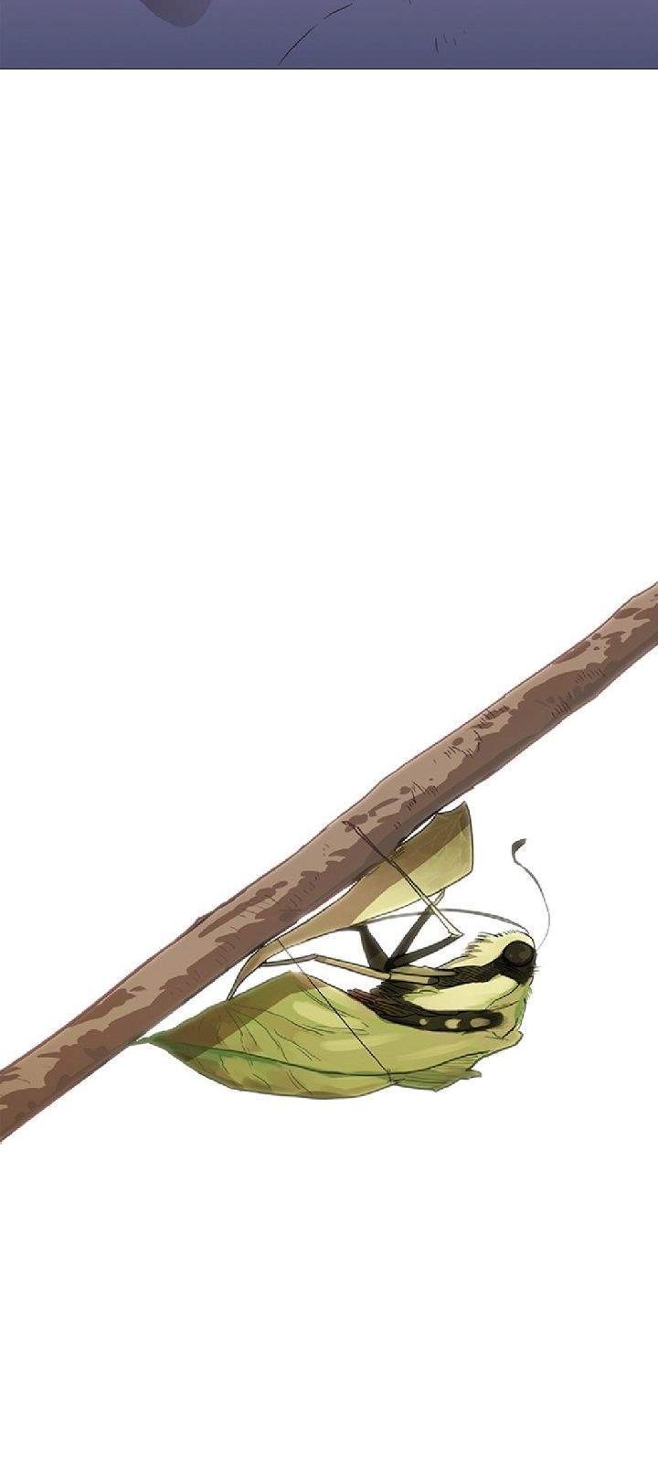 The Boxer Chapter 46 Gambar 45