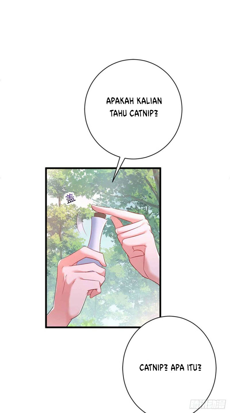 Baca  Miss Nine Doctor Chapter 109 Gambar 2