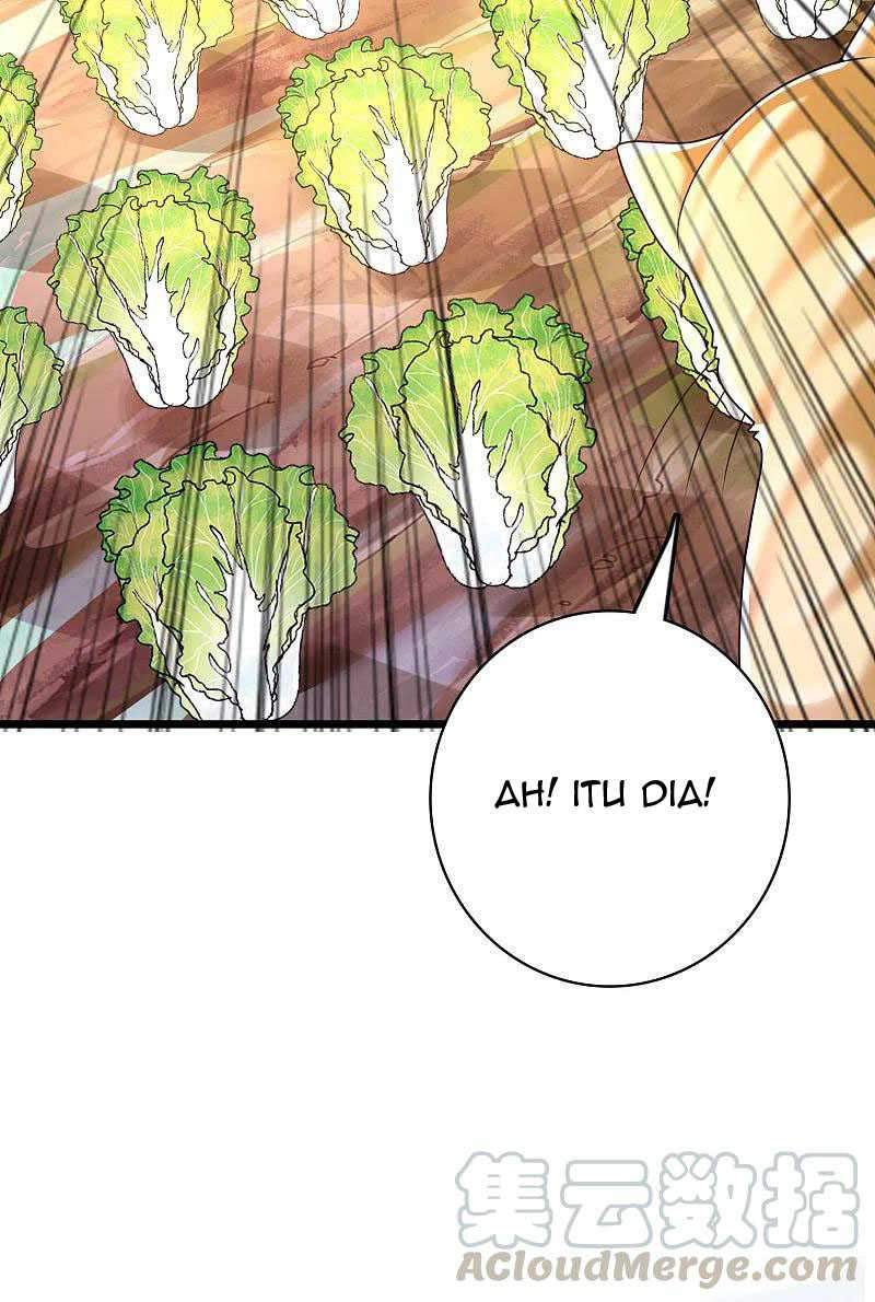 Science And Technology Fairy Chapter 19 Gambar 29