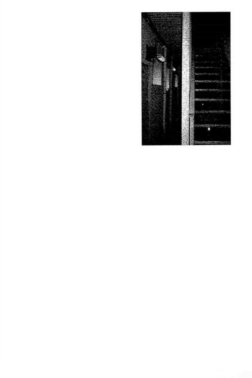 Baca Fuan no Tane Plus Chapter 46 Gambar 2