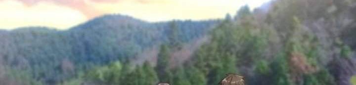 Baca  I Am Han Sanqian Chapter 59 Gambar 2