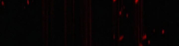 The Dark Magician Transmigrates After 66666 Years Chapter 23 Gambar 82