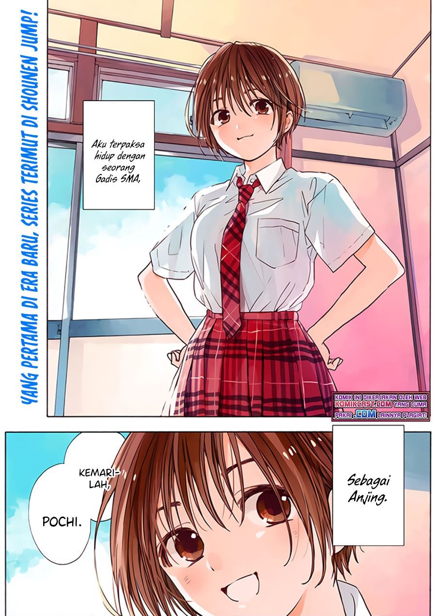 Baca Komik Pochi Gokko Chapter 1 Gambar 1