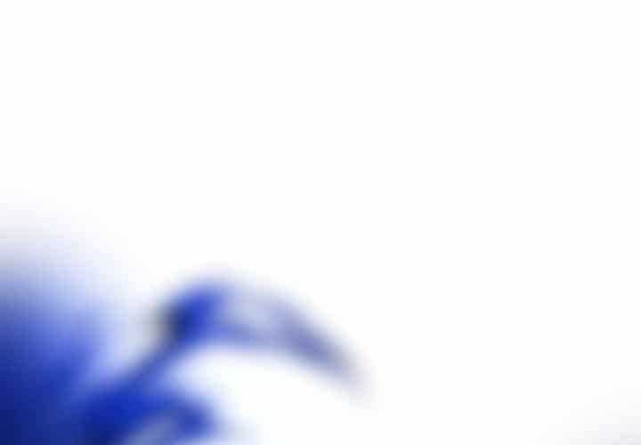 The Constellation that Returned from Hell Chapter 54 Gambar 47