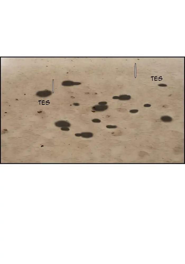 Baca  Wind Breaker Chapter 222 Gambar 2