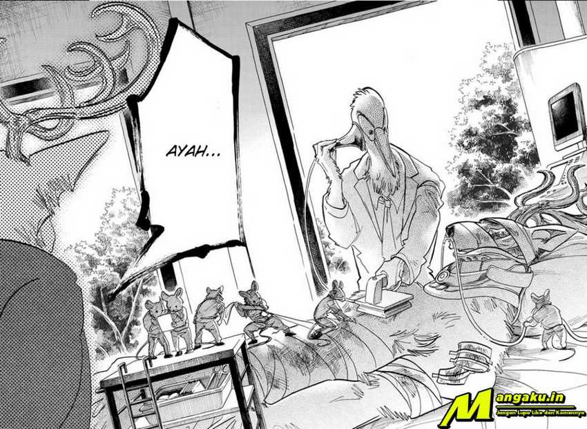 Beastars Chapter 165 Gambar 8