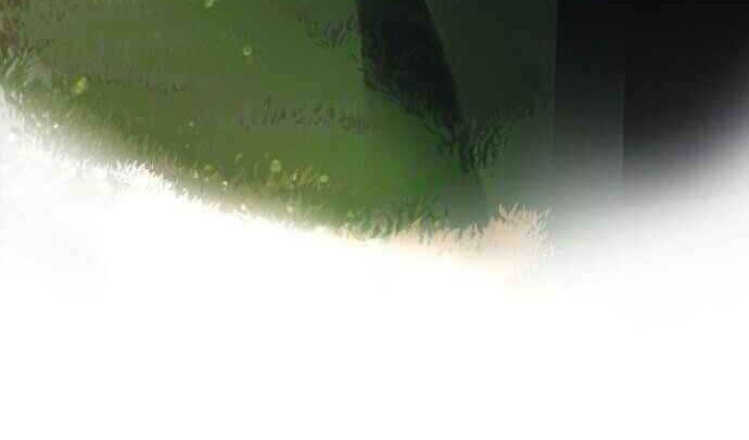 Time Roulette Chapter 28 Gambar 53