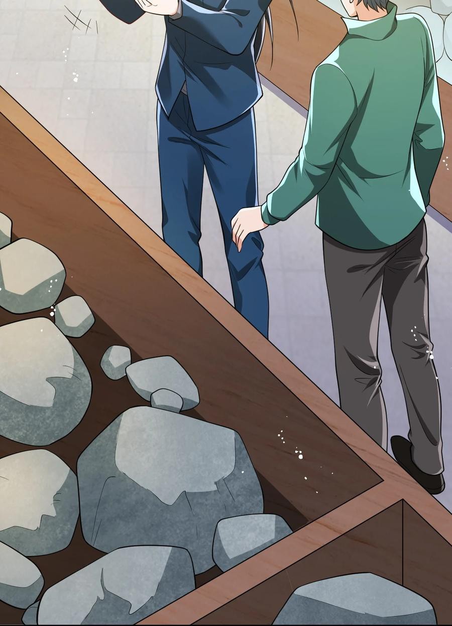 The Strongest Son in Law in History Chapter 21 Gambar 45