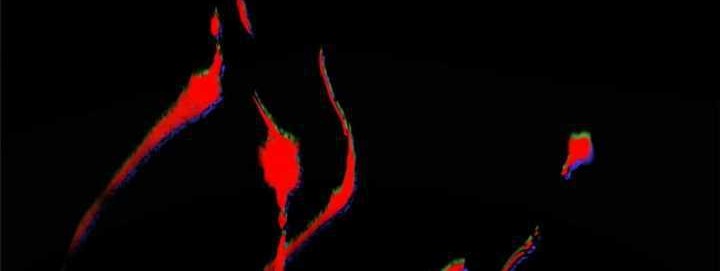 Monster Pet Evolution Chapter 17 Gambar 21