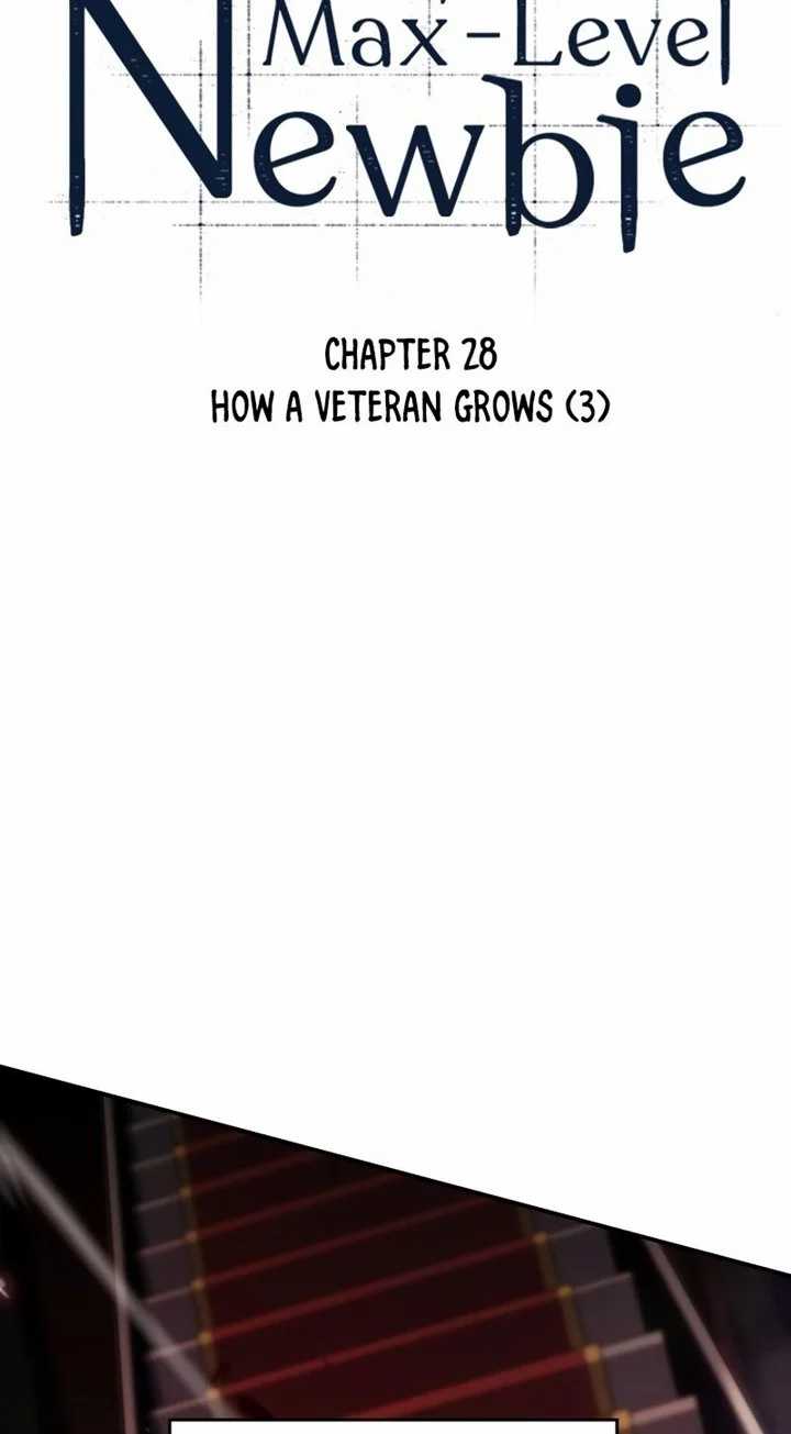 Solo Max-Level Newbie Chapter 28 11