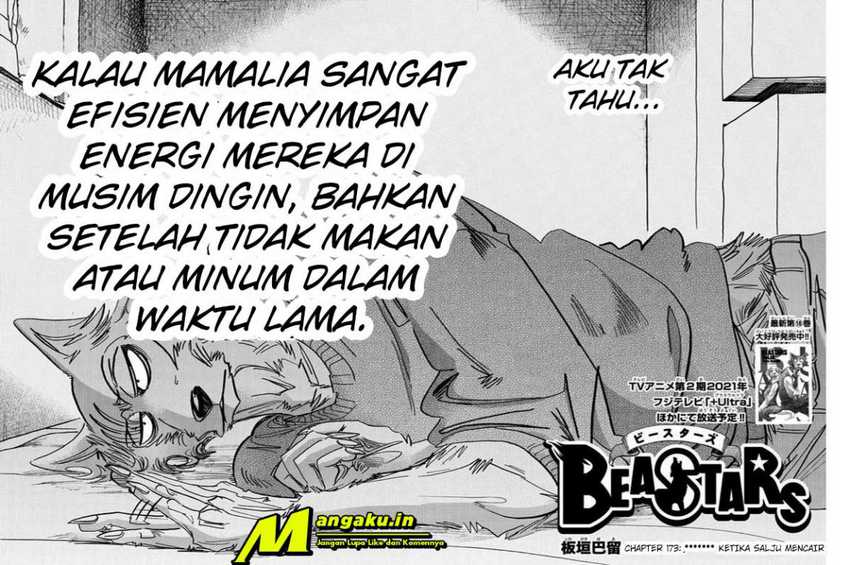 Baca Beastars Chapter 173 Gambar 2