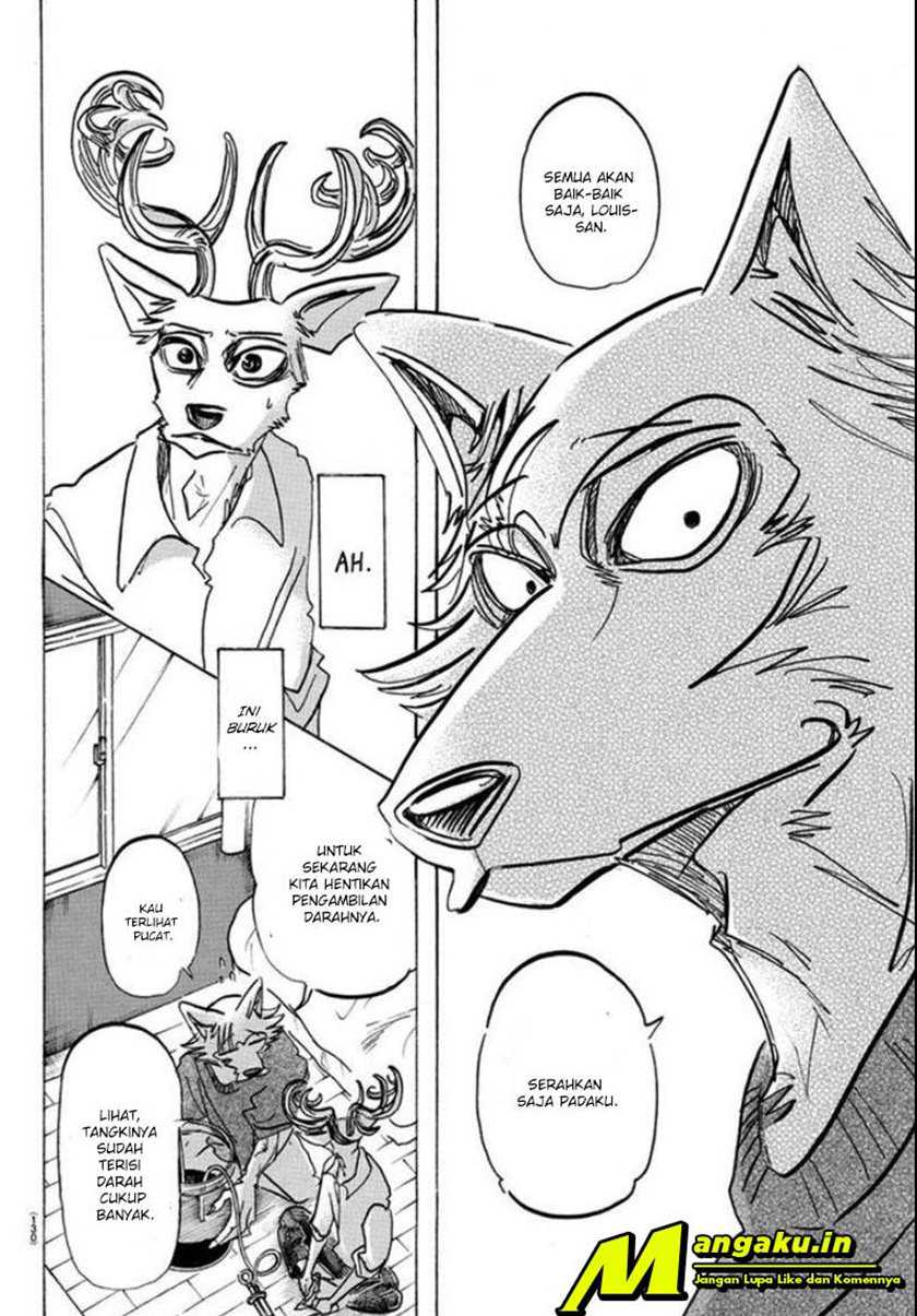 Beastars Chapter 175 Gambar 8