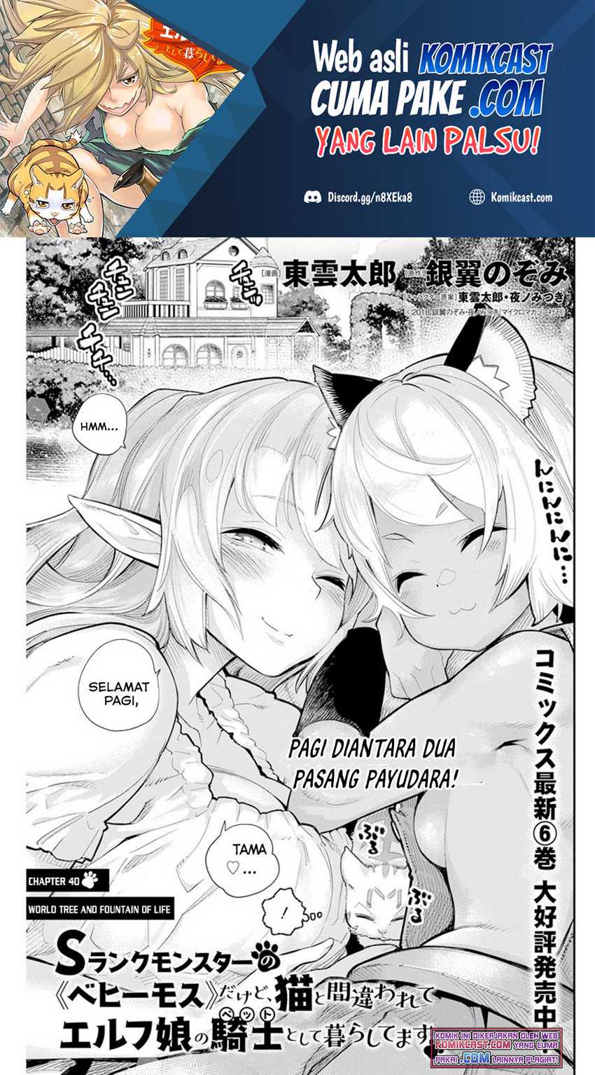 Baca S-Rank Monster no Behemoth Dakedo, Neko to Machigawarete Erufu Musume no Kishi (Pet) Toshite Kurashitemasu Chapter 40 Gambar 2