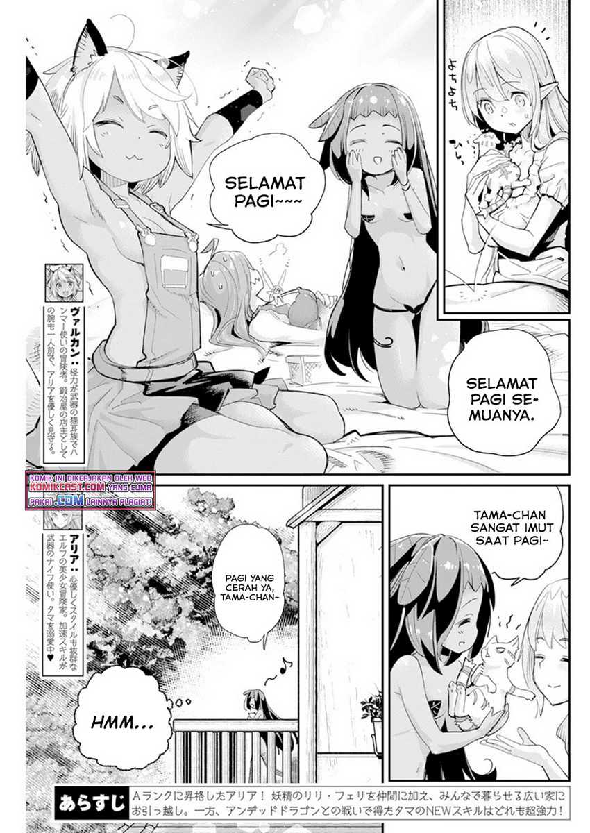S-Rank Monster no Behemoth Dakedo, Neko to Machigawarete Erufu Musume no Kishi (Pet) Toshite Kurashitemasu Chapter 40 Gambar 4