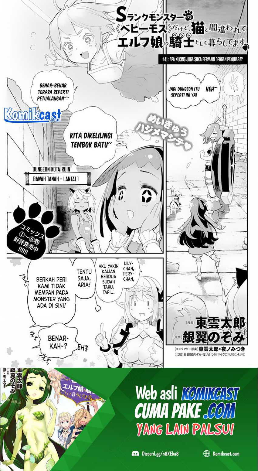 Baca S-Rank Monster no Behemoth Dakedo, Neko to Machigawarete Erufu Musume no Kishi (Pet) Toshite Kurashitemasu Chapter 41 Gambar 2