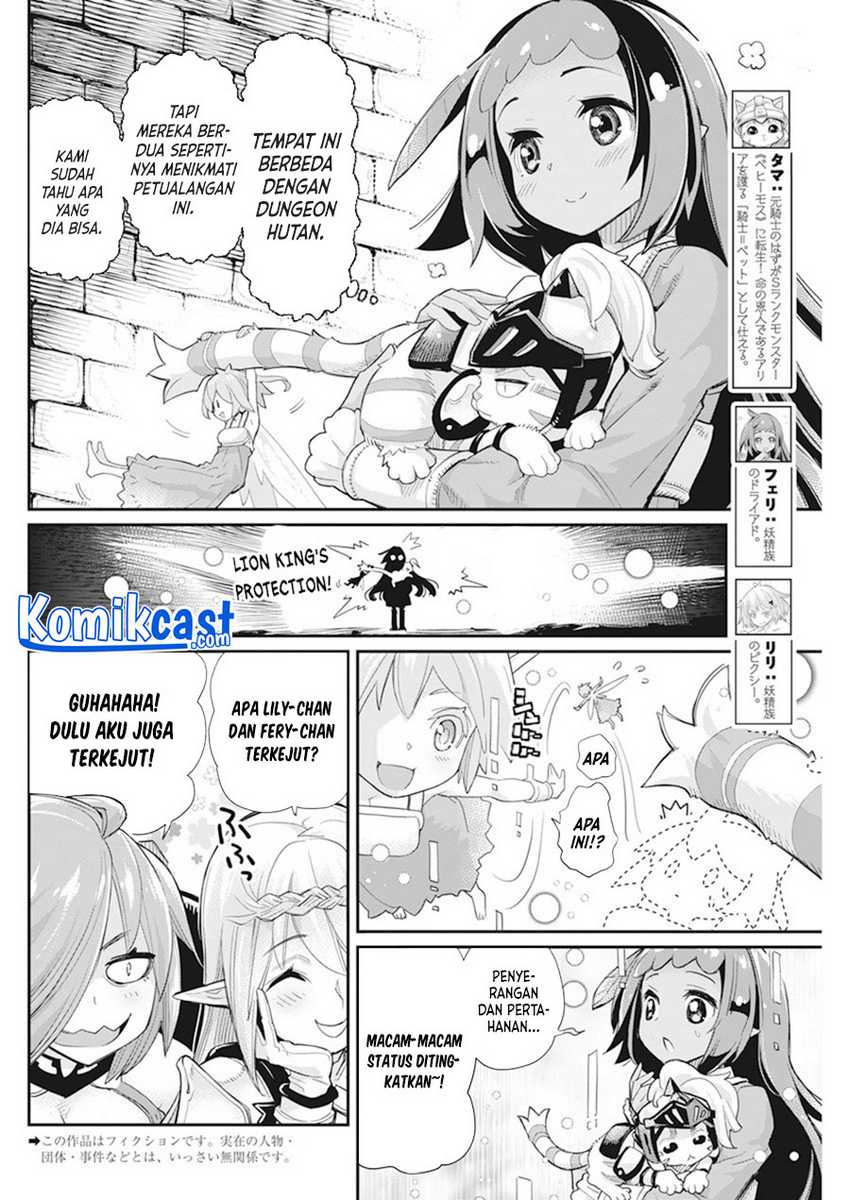 S-Rank Monster no Behemoth Dakedo, Neko to Machigawarete Erufu Musume no Kishi (Pet) Toshite Kurashitemasu Chapter 42 Gambar 3