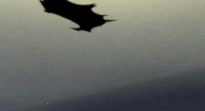 The Life After God Of Martial Lived In Seclusion Chapter 74 Gambar 29