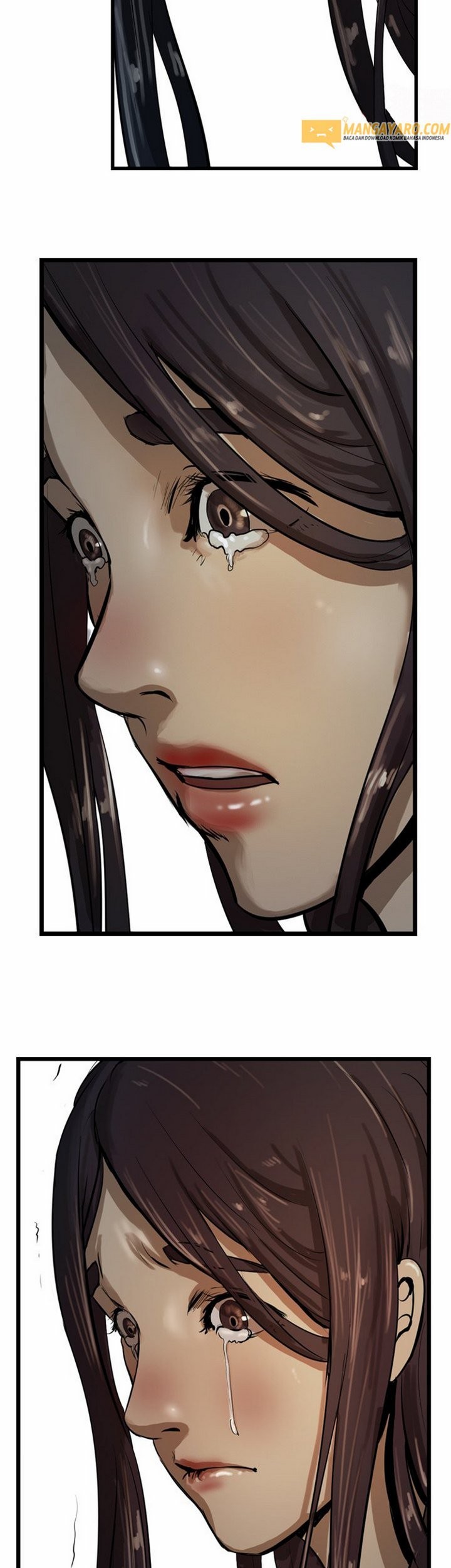 The Wanderer Chapter 26.2 Gambar 16