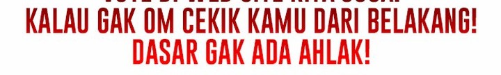 The Wanderer Chapter 24.2 Gambar 35