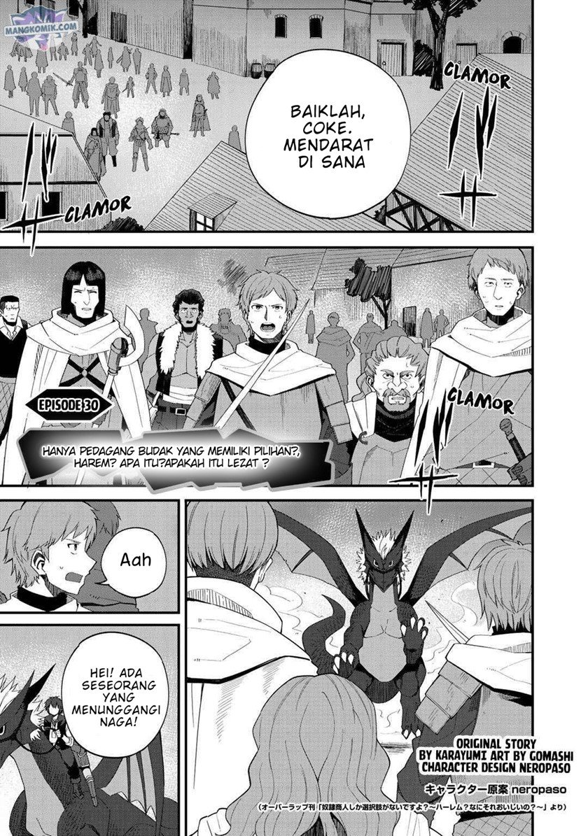 Baca  Dorei Shounin shika Sentakushi ga nai desu yo? ~Harem? Nani sore oishii no?~ Chapter 30 Gambar 2