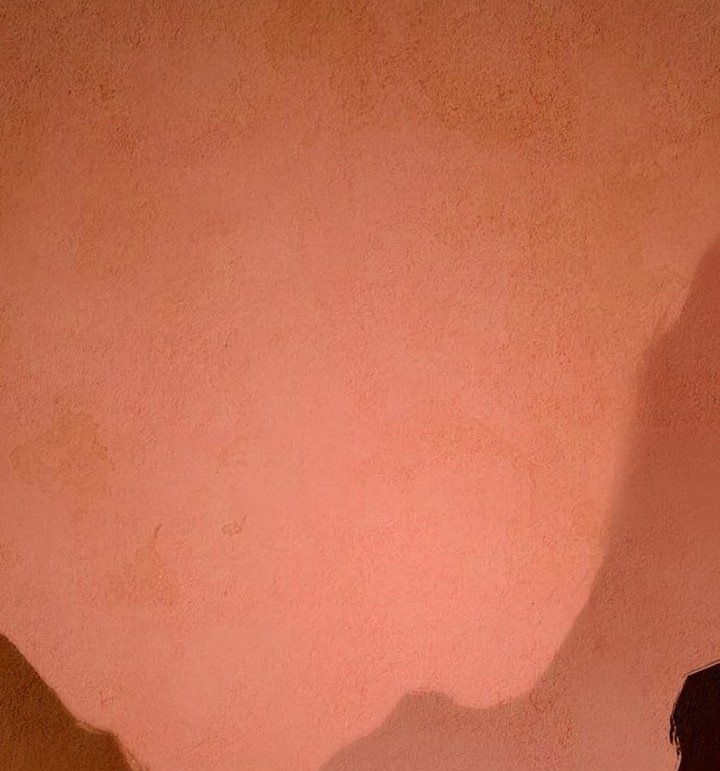 Regina Rena – To the Unforgiven Chapter 18 Gambar 31