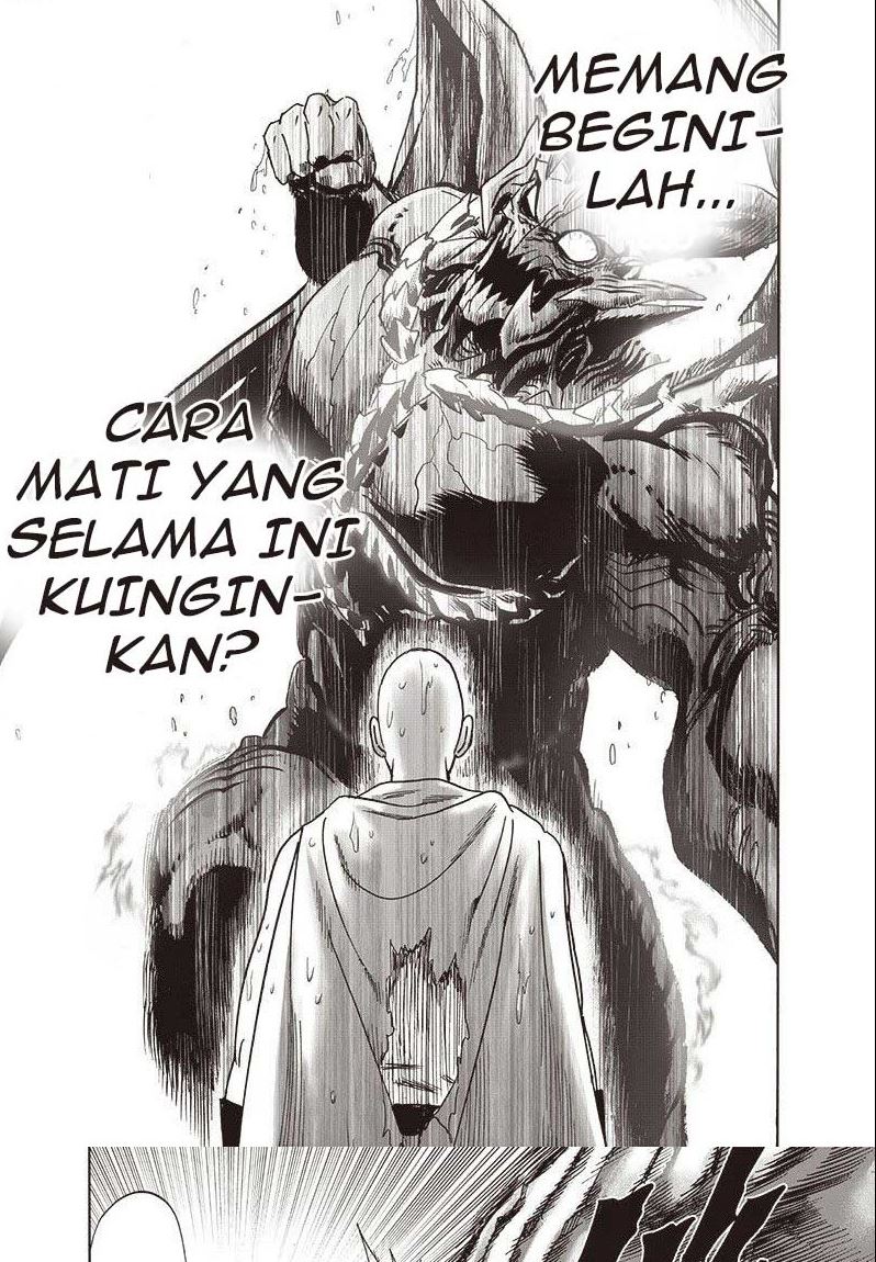 One Punch Man Chapter 218.2 19