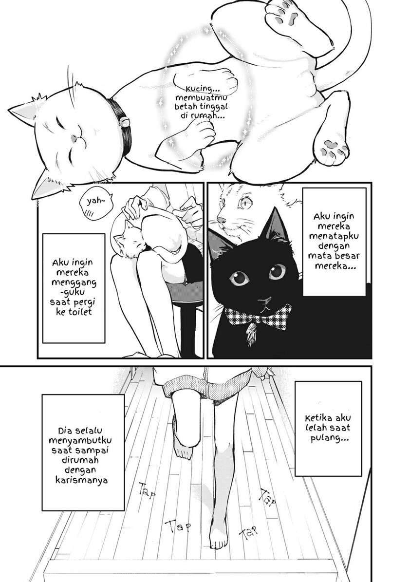 Baca Manga Koneko ga Matterunode Kaerimasu Chapter 1.1 Gambar 2