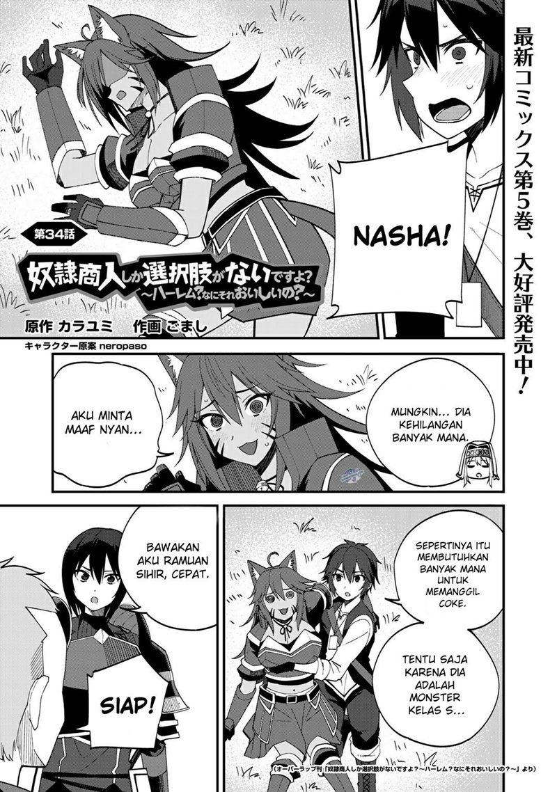 Baca  Dorei Shounin shika Sentakushi ga nai desu yo? ~Harem? Nani sore oishii no?~ Chapter 34 Gambar 2