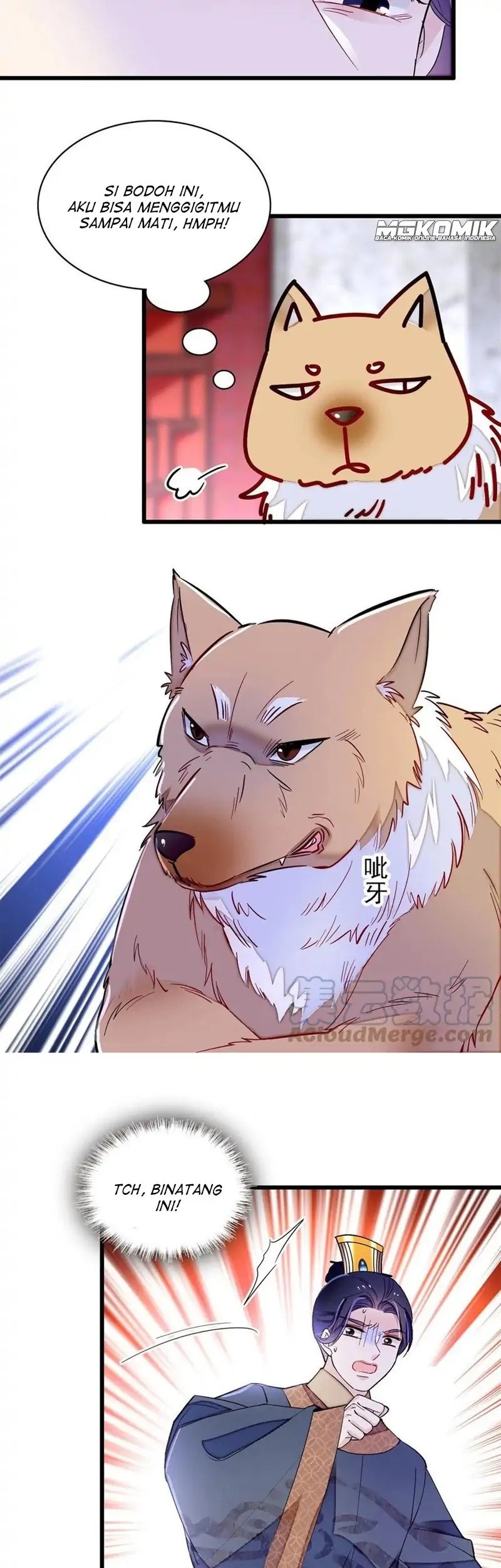 Sijin Chapter 247 Gambar 35