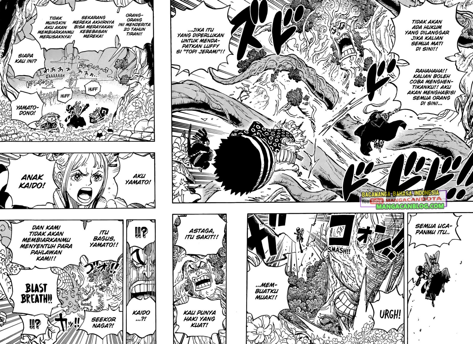 One Piece Chapter 1054 HQ 5